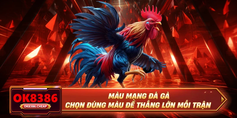 Màu Mạng Đá Gà - Chọn Đúng Màu Để Thắng Lớn Mỗi Trận